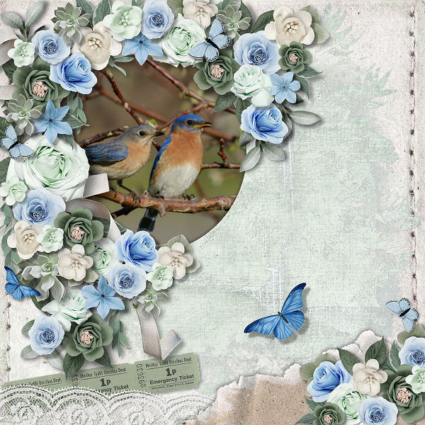 Feathered Template Pack by Ilonkas Designs