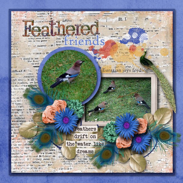 Feathered_friends