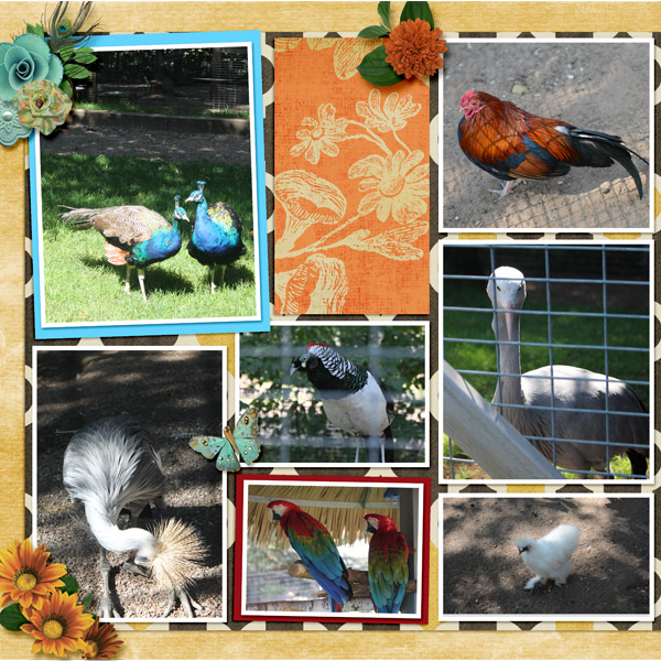 Feathered_Friends_11-2015