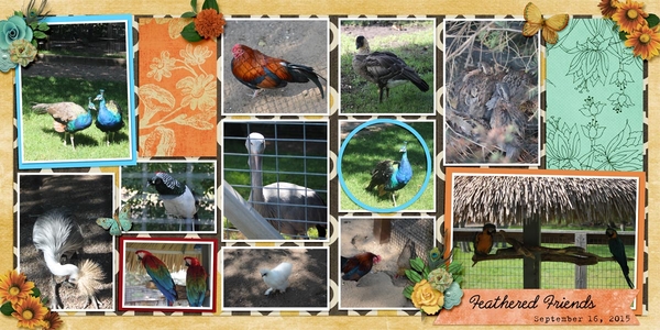Feathered_Friends_11-20151