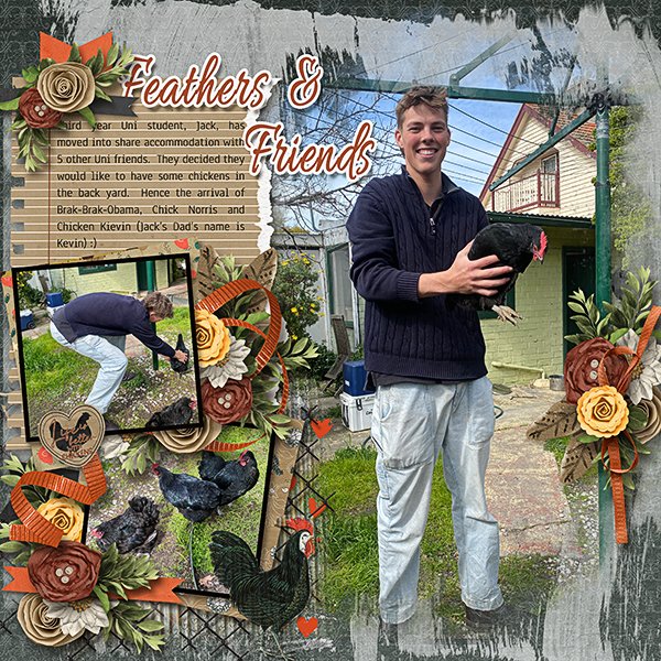 Feathers-and-Friends-copy.web.jpg