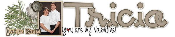 Feb 15 siggy