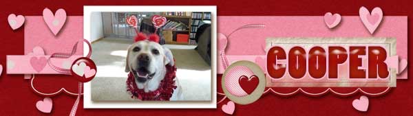 feb-2013-siggy