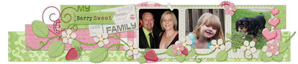 Feb 2013 Signature Challenge
