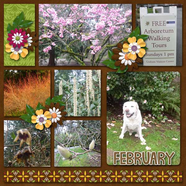 feb-2015-week-2