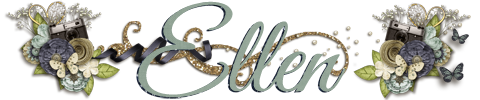 Feb 2017 Siggie