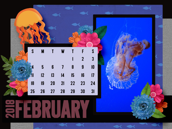 Feb 2018