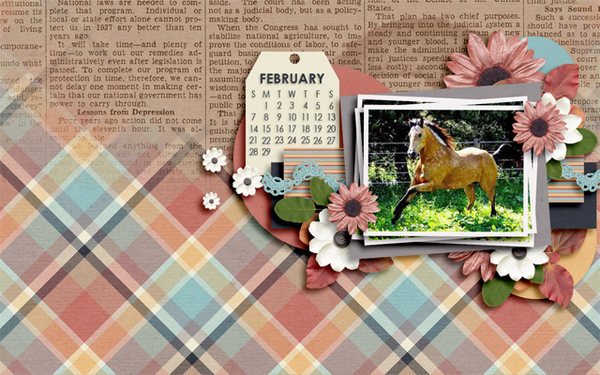 Feb Desktop