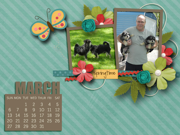 Feb Desktop