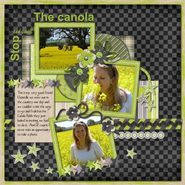 Feb Scraplift challenge