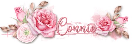 Feb Siggie