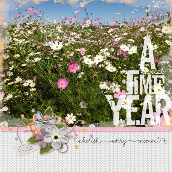 Feb2020 Scraplift Challenge