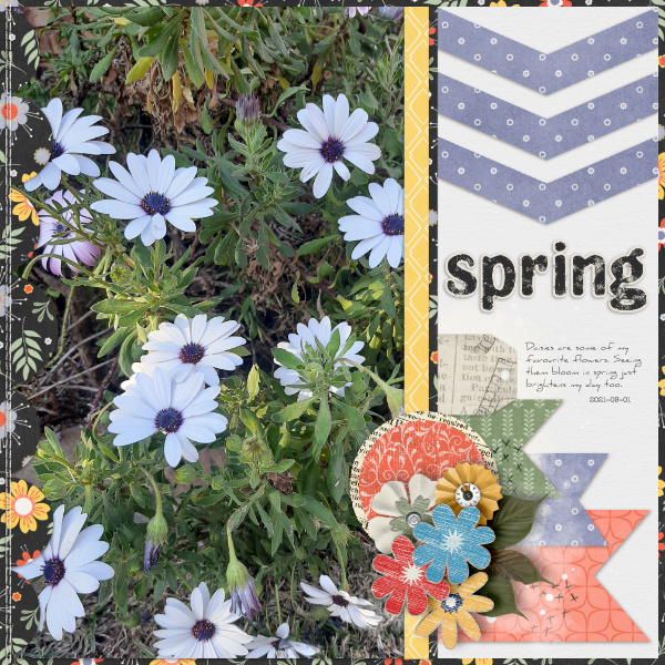 Feb22 LifeChronicled