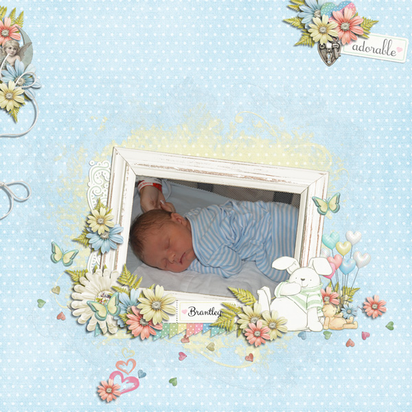Feb_4_copy