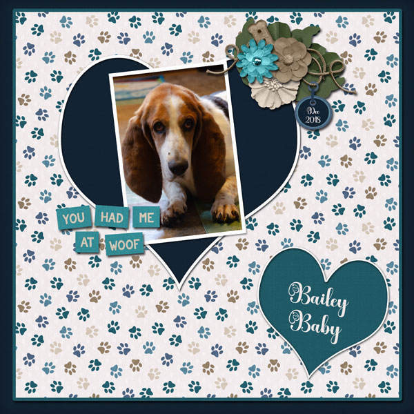 Feb_BaileyBaby