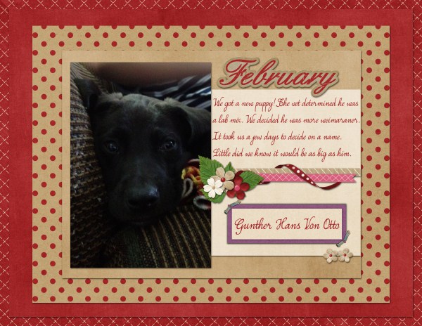 February 2013 Topper