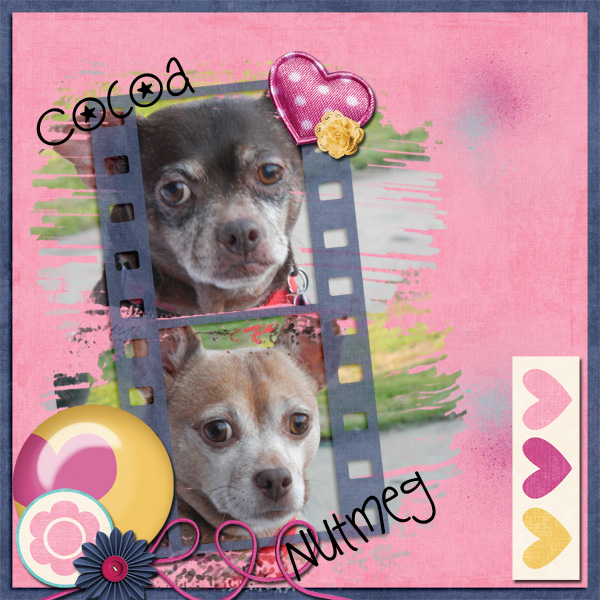 February 2014 Color Challenge