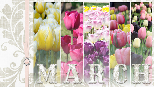 February 2019 Desktop Challenge