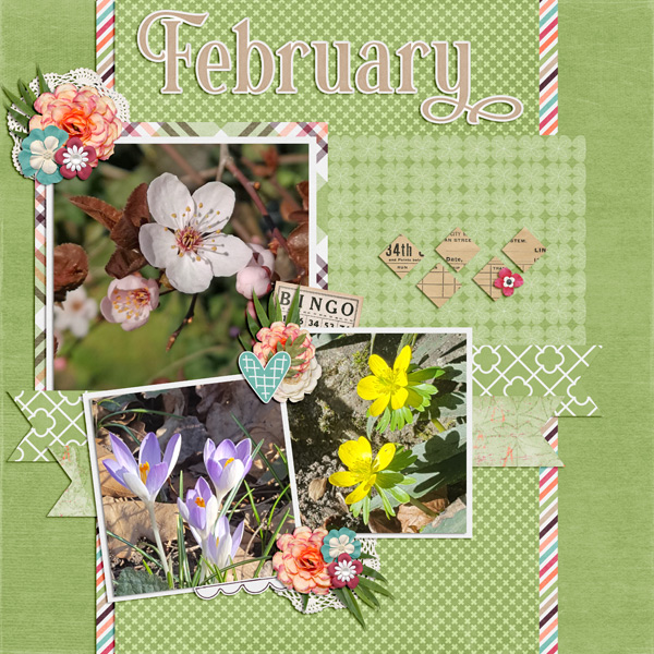 February 2020