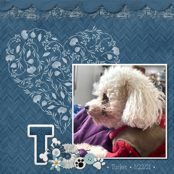 February 2021 Brush Challenge: Tucker