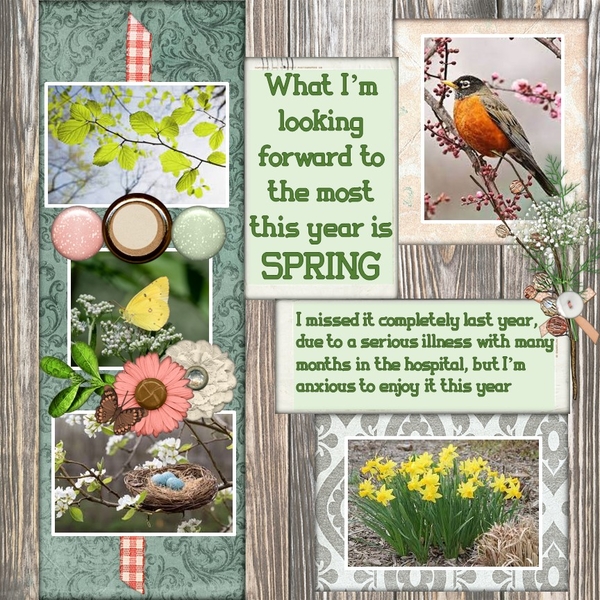 February 2023 A Year of Blessings Challenge