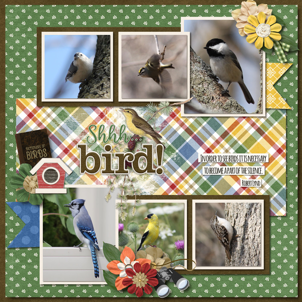 February 2023 Template Bundle - Bird Watcher