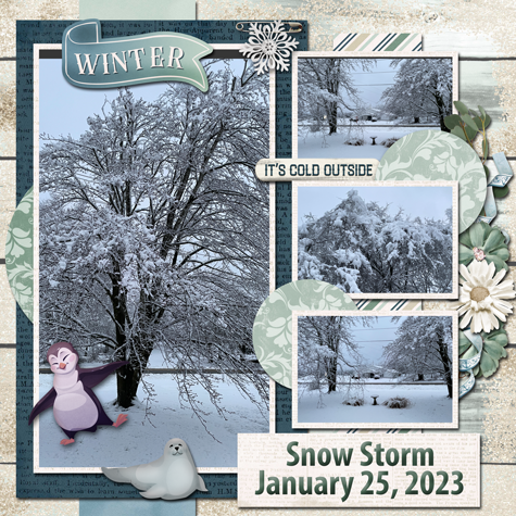 February 2023 Template Challenge #2