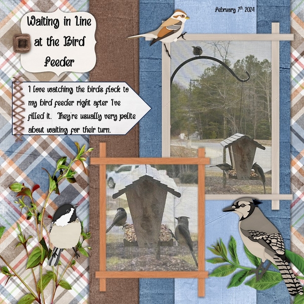 February 2024 Photography Challenge