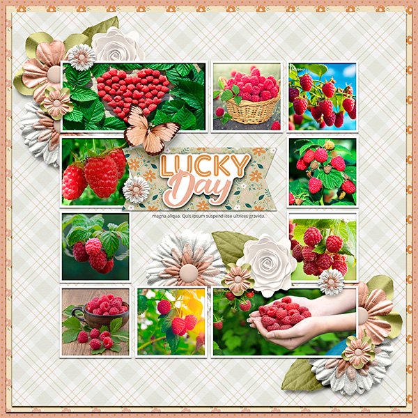 February 2026 Template Challenge _2 from J. Conlon and Sons Gala.jpg