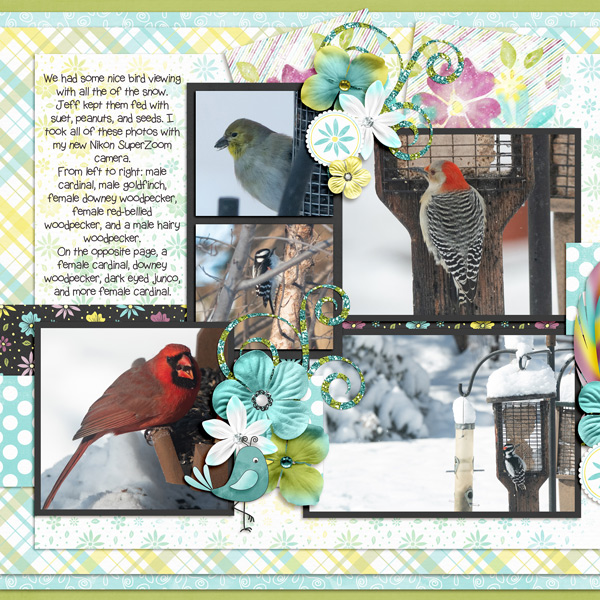 February birds