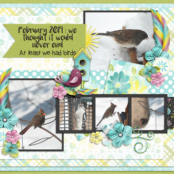 February birds
