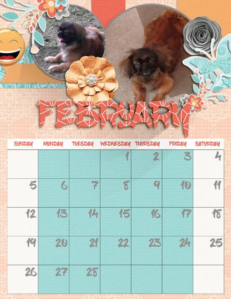 February calendar