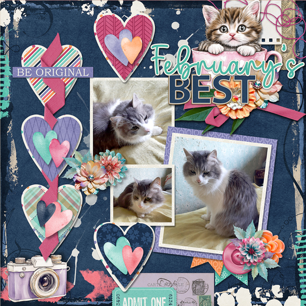 February Cat