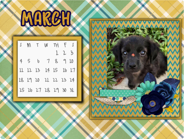 February Desktop challenge 2018