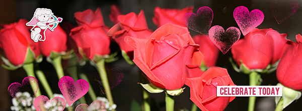 February FB header