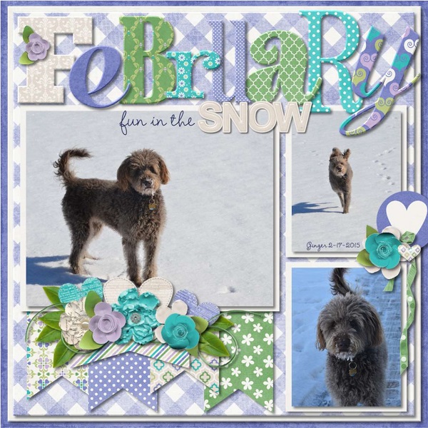 February Fun in the Snow