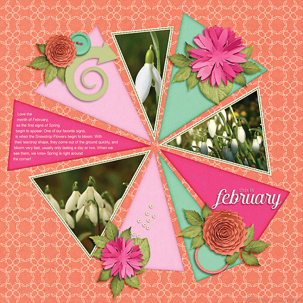 February Life 2017