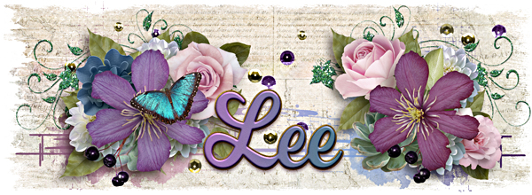February Siggy