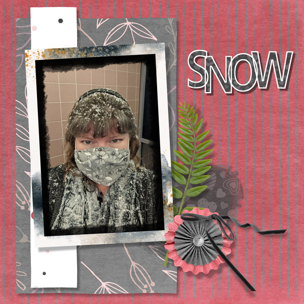 February Snow