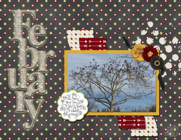 February song birds