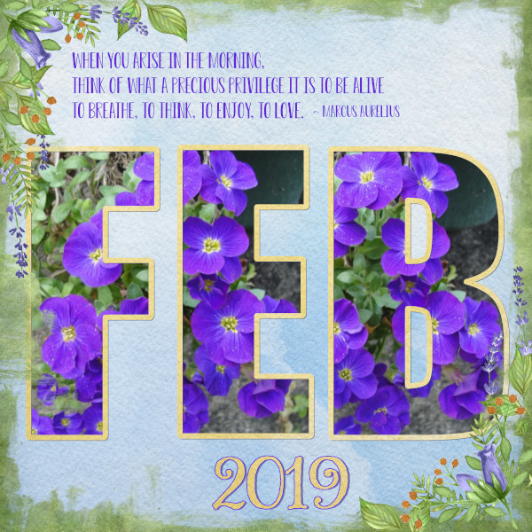 February Violet
