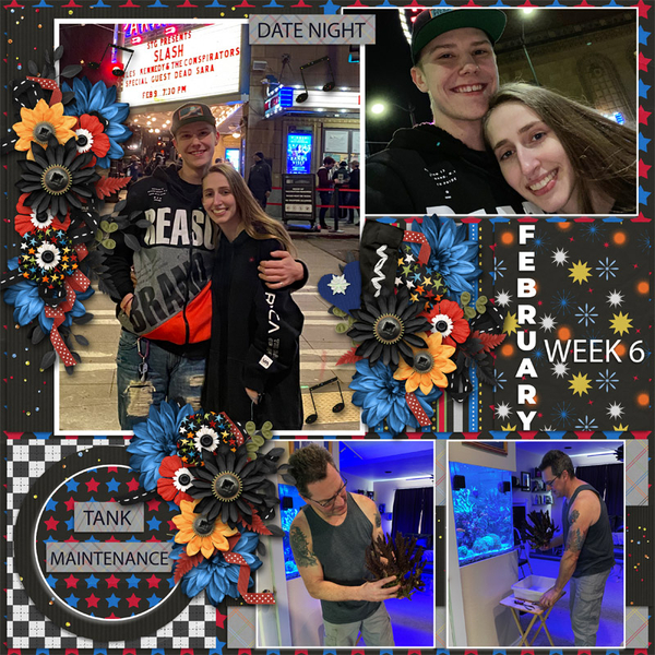 February Week 6 2022