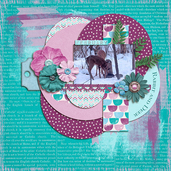 February Wild Life