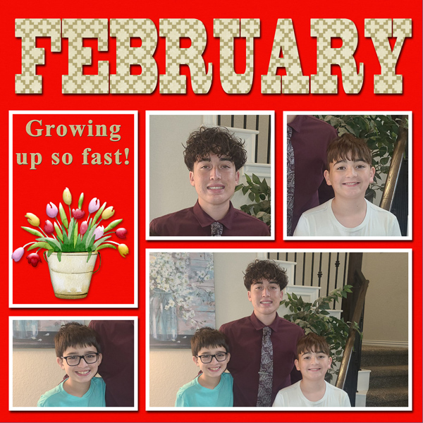 FEBRUARY