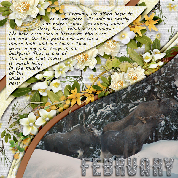 February12