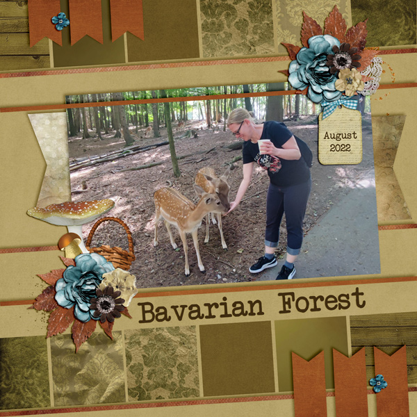 feed deer 2022