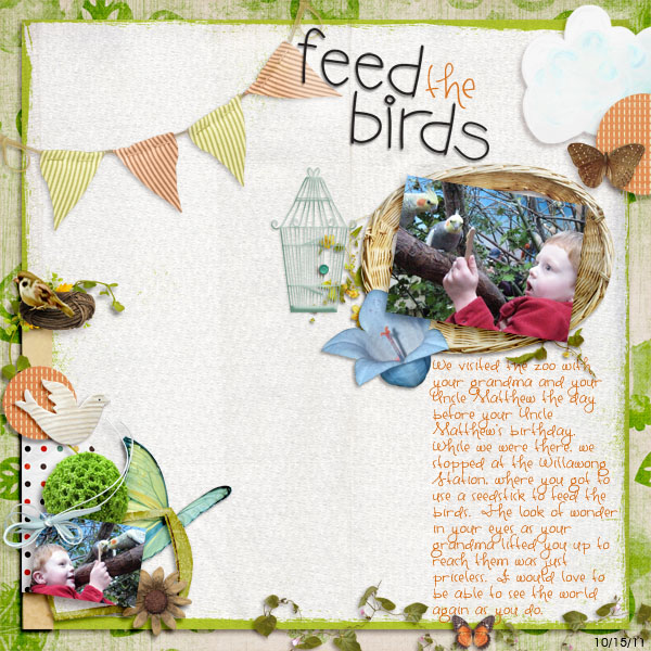 Feed the Birds