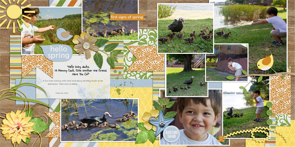 Feed the Ducks