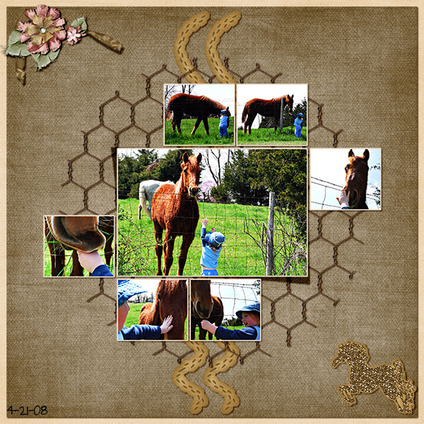 feed the horse