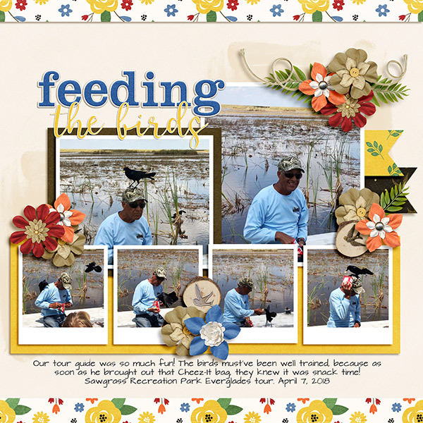 Feed